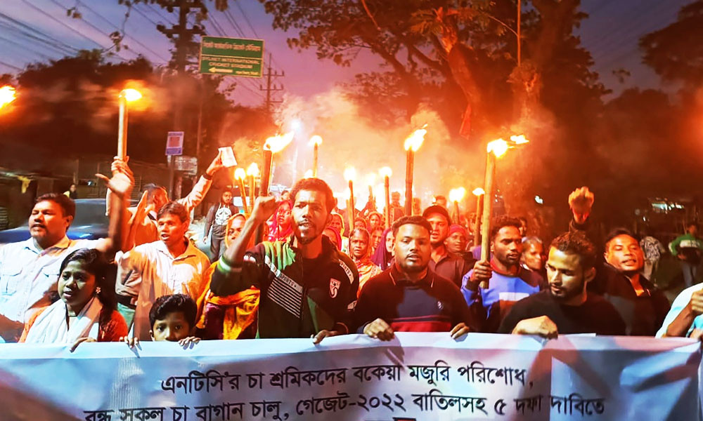 বকেয়া মজুরিসহ ৫ দাবিতে সিলেটে চা শ্রমিকদের মশাল মিছিল