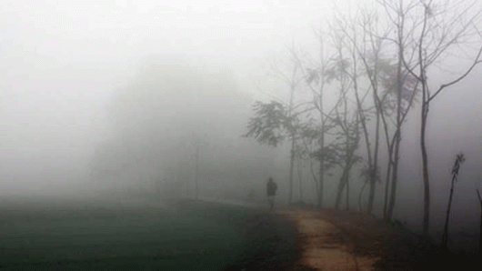 শ্রীমঙ্গলে আজ সর্বনিম্ন তাপমাত্রা রেকর্ড ৮.৫ ডিগ্রি সেলসিয়াস