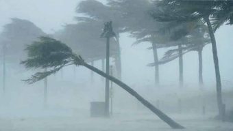 ১৯ জেলায় ৬০ কিমি বেগে ঝড়ের আশঙ্কা