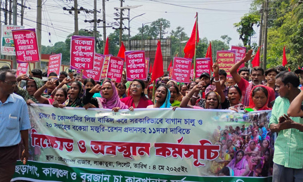 সিলেটে বকেয়া বেতনের দাবিতে বিমানবন্দর সড়ক অবরোধ চা শ্রমিকদের